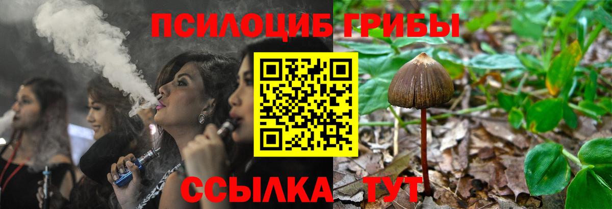 Псилоцибиновые грибы мухоморы  Вход с VPN  где купить   Бийск 